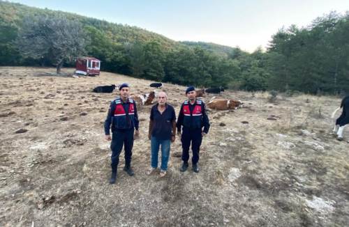 Eskişehir'de kaybolunca jandarma yetişti 