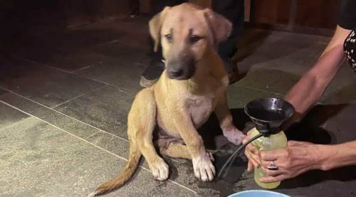 Eskişehir'de kaza yerinde insanlık dersi: Sürücü kaçıp gitti ama...