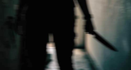 Eskişehir'de kedi katili sonunda bulundu!