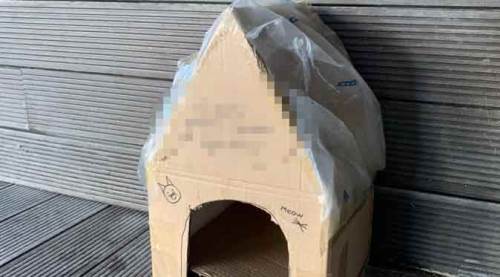 Eskişehir'de kedi yuvasına öyle bir şey yazdılar ki...