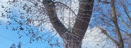 Eskişehir’de kent estetiğine ışıklı detay