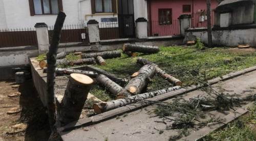 Eskişehir'de kesilen 25 ağaç için protesto!