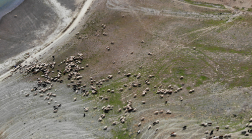 Eskişehir'de Keskin ve Eğriöz mahalleleri arasında mera sorunu bitmiyor