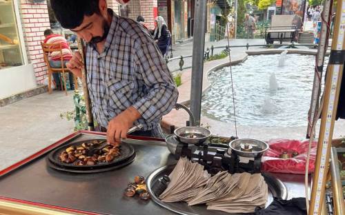 Eskişehir'de kestane sezonu açıldı