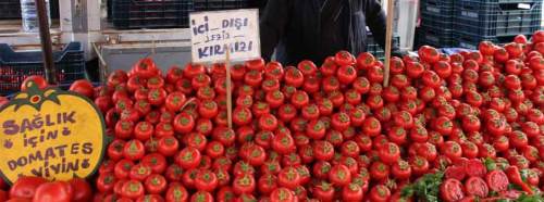 Eskişehir'de kilosu 1.5 liraya kadar düştü!