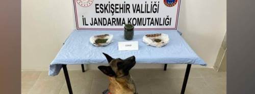 Eskişehir'de kıskıvrak yakalandı