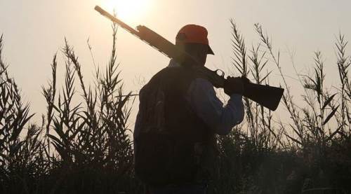 Eskişehir’de Kızıl Geyik avlama şartları ve fiyatları belli oldu