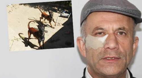 Eskişehir’de komşu dehşeti: “Seni bu köpeklere parçalatacağım”