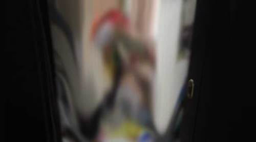 Eskişehir'de komşuları ihbar etti: Evdeki manzara şok etti!