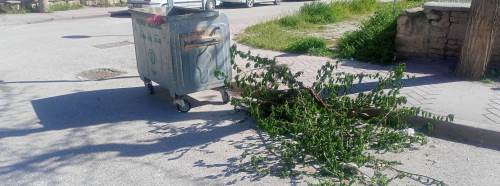 Eskişehir’de konteyner çevresinde dal yığını dikkat çekti