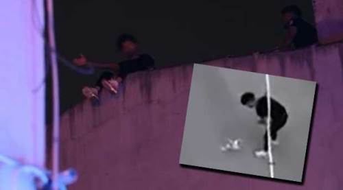 Eskişehir'de köpeğine eziyet etmişti: Cezaevinden çıkıp bunu yaptı!