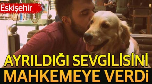 Eskişehir'de köpek kimde kalacak duruşması!