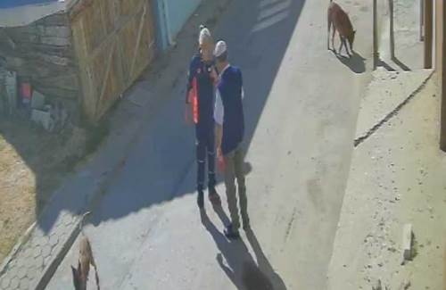 Eskişehir'de köpekler yüzünden komşusunu darp etti: Gözaltına alındı