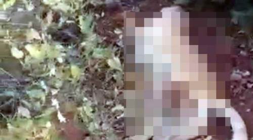 Eskişehir'de korkunç görüntü: Öldürüp, çalıların arasına attılar