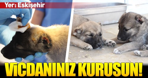 Eskişehir'de korkunç olay!