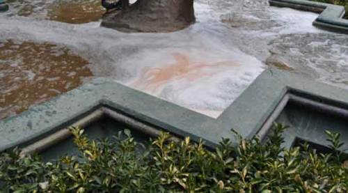 Eskişehir'de korkutan görüntü! Köpük kapladı... 