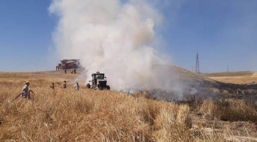 Eskişehir'de korkutan yangın! İşte yangının bilançosu...