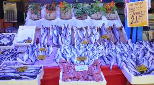 Eskişehir'de koronavirüs döneminde onların yüzü güldü