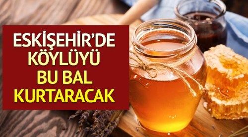 Eskişehir'de köylüyü bu bal kuırtaracak