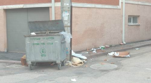 Eskişehir'de koyterner var ama duyarsız çok