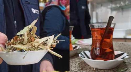 Eskişehir'de köyünden toplayıp, demliyor, kapışılıyor!