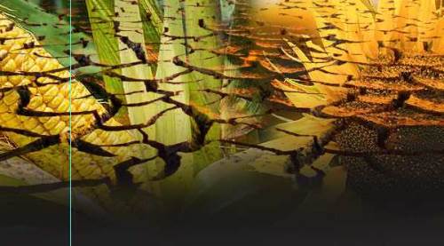 Eskişehir'de kuraklık korkusu telaşlandırdı: Fiyatlar nasıl olacak?