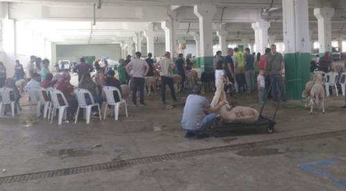 Eskişehir'de Kurban Bayramı'ndaki o hizmete tam not!