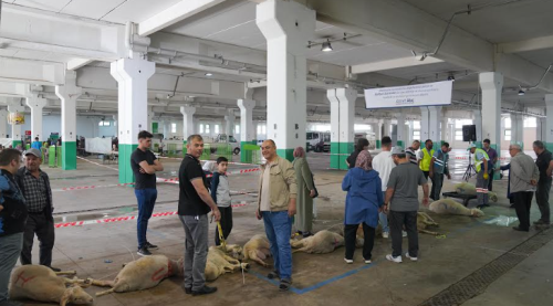 Eskişehir'de kurban kesim alanı vatandaşlara huzurlu bir bayram yaşattı