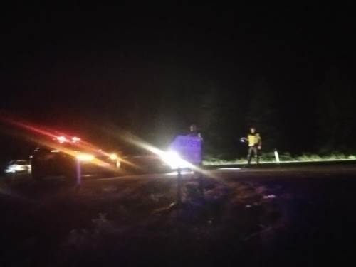 Eskişehir'de kuş elektrik teline çarptı, 5 dönüm arazi yandı