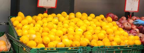 Eskişehir'de limon cep yakmaya devam ediyor!