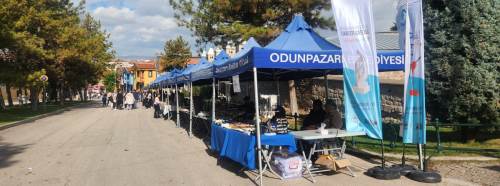 Eskişehir’de Lületaşı Festivali ziyaretçilerin akınına uğradı!