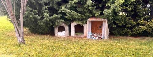 Eskişehir’de mahalle sakinlerinden sokak hayvanlarına anlamlı destek