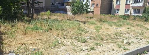 Eskişehir'de mahalleliden boş arsa için temizlik çağrısı