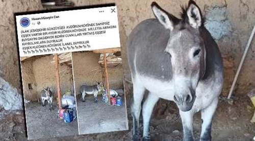 Eskişehir'de mahallelinin başı eşekle dertte: İlginç ilan sosyal medyayı salladı