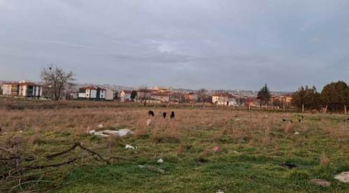 Eskişehir'de mahalleliyi korkutan sorun için acil çağrı