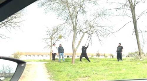 Eskişehir'de mangal yakmak için yapılan magandalık pes dedirtti!