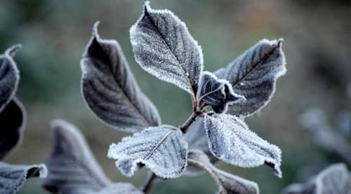 Eskişehir'de Mayıs ayında şaşırtan uyarı: Sabah saatlerinde...