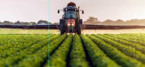 Eskişehir'de meraklı bekleyiş: Devlet o fiyatı açıklayacak mı?