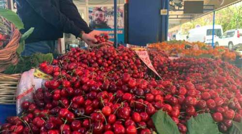 Eskişehir'de mevsimin ilk kirazı tezgahta, fiyatı ise...