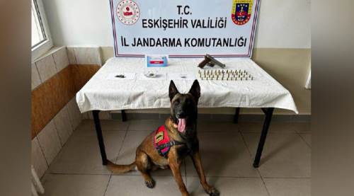 Eskişehir'de mezarlığa giren jandarma bile şaşırdı