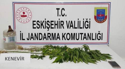 Eskişehir’de mezarlıkta esrar şoku!