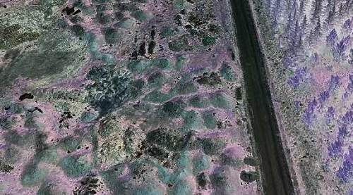 Eskişehir'de mide bulandıran görüntü: Gelen geçen oraya...