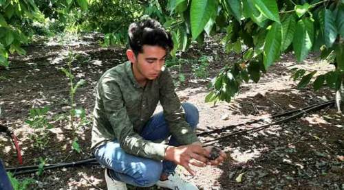 Eskişehir'de milyonlarca liralık zarar!