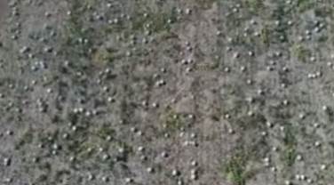 Eskişehir'de milyonluk manzara!