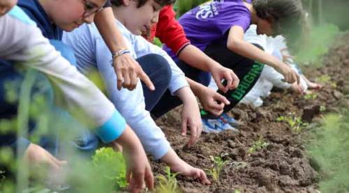Eskişehir'de minik eller doğayla buluştu