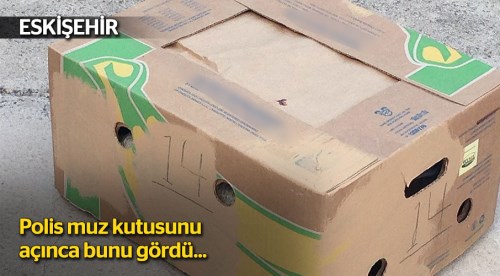 Eskişehir'de muz kutusundan 3 kilo esrar çıktı!