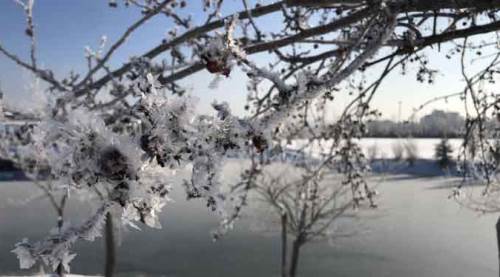 Eskişehir'de nihayet yarın...