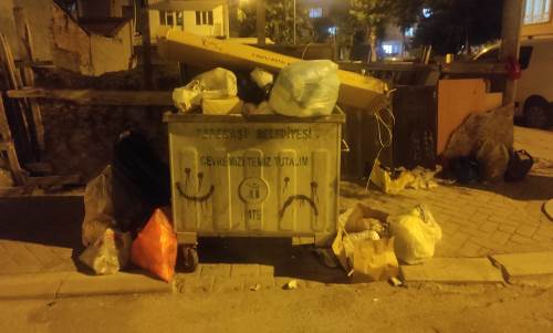 Eskişehir'de nüfus arttıkça o problem de büyüyor!