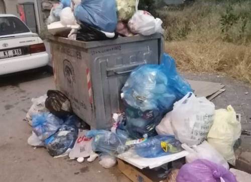 Eskişehir'de o mahalle sinekten geçilmiyor: Vatandaşlar isyanda