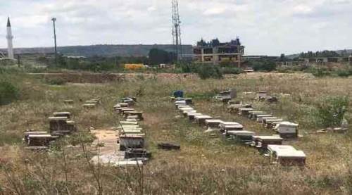 Eskişehir'de o mahallenin ortasında şaşırtan manzara